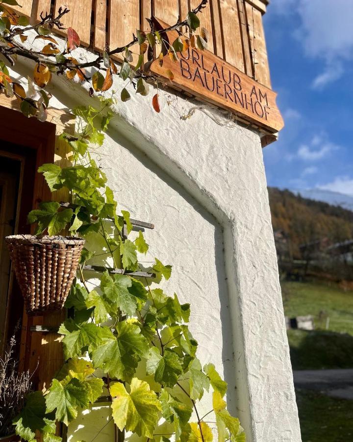 Farm stay Angstingerhof Pragraten