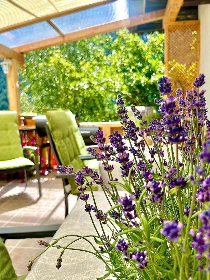 Farm stay Angstingerhof *