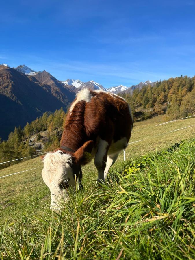Farm stay Angstingerhof *